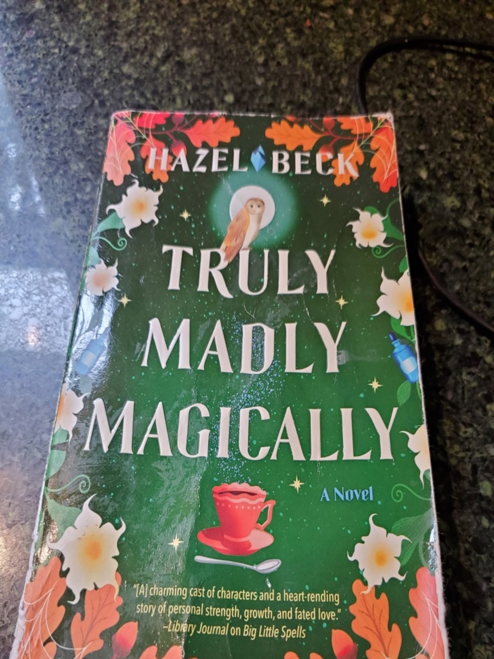 Book truly madly magically by Hazel Beck book